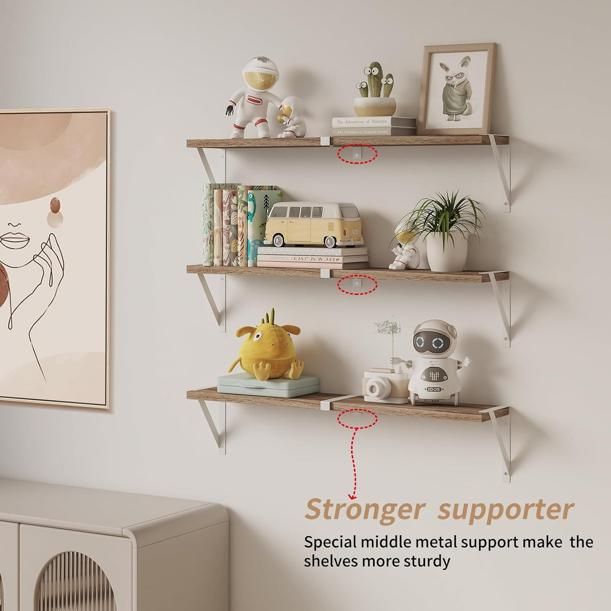 Wall Mounted Floating Decor Storage Shelves