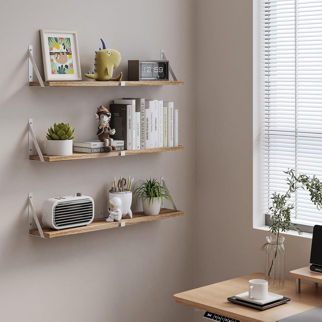 Wall Mounted Floating Decor Storage Shelves
